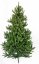 Božično drevo Smreka divja 120 cm