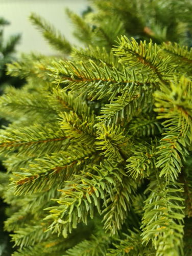 Božićno drvce Smreka PE 220cm Royal
