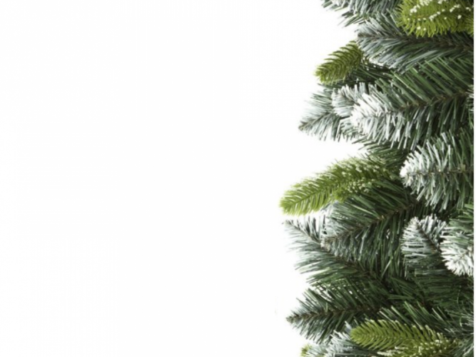 Karácsonyfa - Erdeifenyő 150cm Exclusive