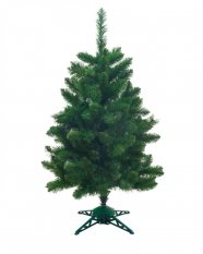 Jegenyefenyő karácsonyfa 120cm