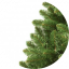 Weihnachtsbaum Tanne 260cm Classic